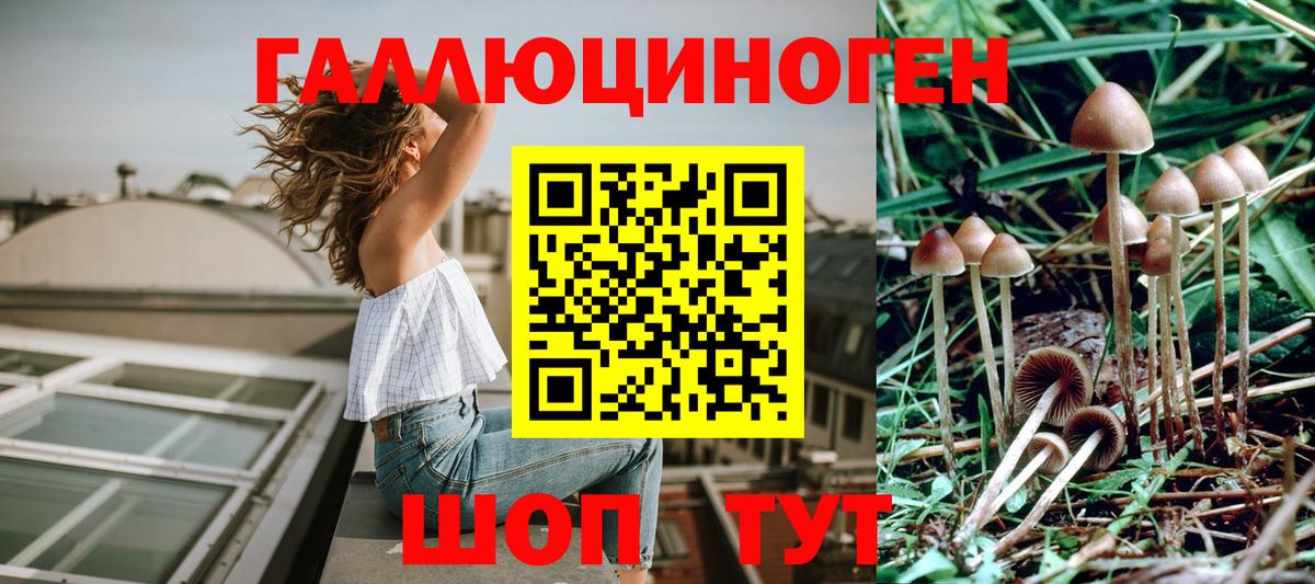 Галлюциногенные грибы Psilocybine cubensis  Галлюциногенные грибы Psilocybe  Вход с VPN  закладки  Бахчисарай 