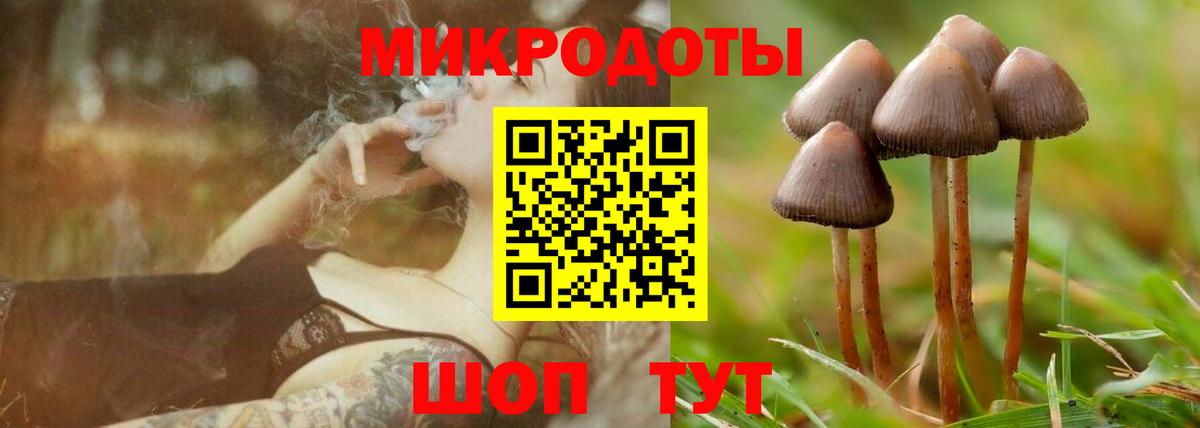 Галлюциногенные грибы MAGIC MUSHROOMS Бахчисарай
